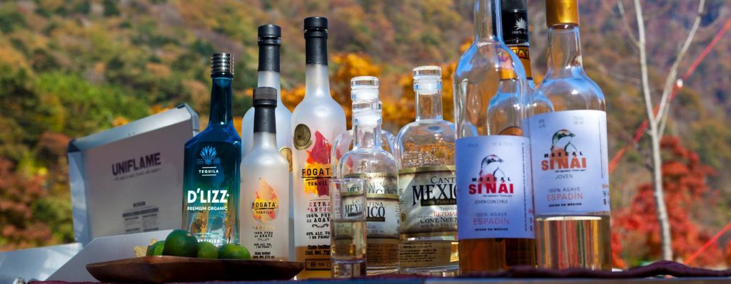 メスカル初心者向けガイド テキーラとの違いと最初の1本の選び方